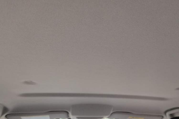 Used Great Wall Poer 2024 2.4T Commercial Version Automatic Diesel 4x4 Elite Edition Headliner