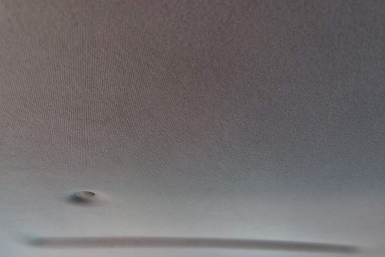Used Great Wall Poer 2024 2.4T Commercial Version Automatic Diesel 4x4 Elite Edition Headliner
