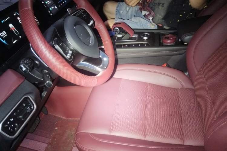 Used Great Wall Poer  Left Front Seat