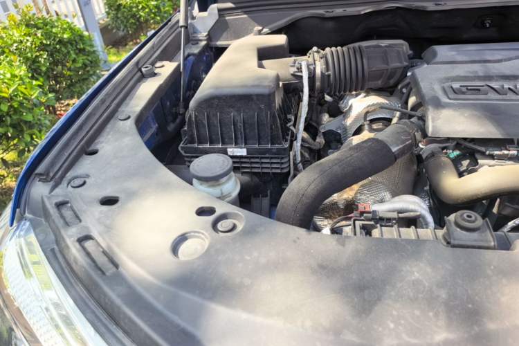 Used Great Wall Poer 2024 2.4T Commercial Version Automatic Diesel Two-Wheel Drive Elite Edition Engine Bay Right