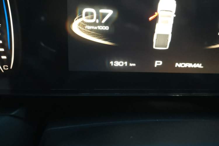 Used Great Wall Poer 2024 2.4T Passenger Version Automatic Diesel Two-Wheel Drive Comfort Edition Odometer Close Up
