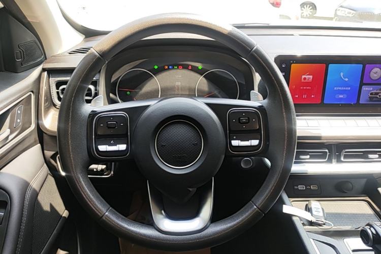 Used Great Wall Poer 2024 2.4T Commercial Version Automatic Diesel 4x4 Elite Edition Steering Wheel