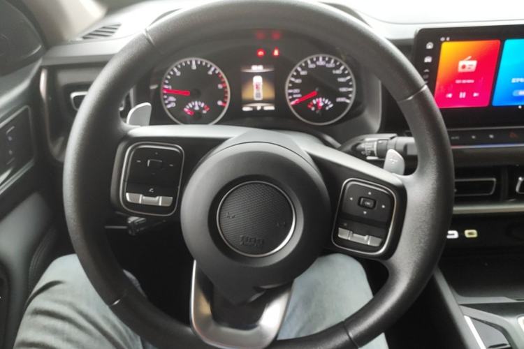 Used Great Wall Poer 2024 2.4T Commercial Version Automatic Diesel Two-Wheel Drive Elite Edition Steering Wheel