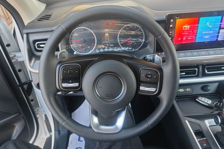 Used Great Wall Poer 2024 2.4T Commercial Version Automatic Diesel Two-Wheel Drive Elite Edition Steering Wheel