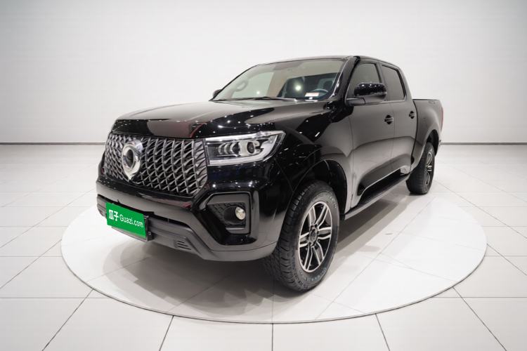 Great Wall Poer New Energy 2021 Commercial Elite Version Big Double