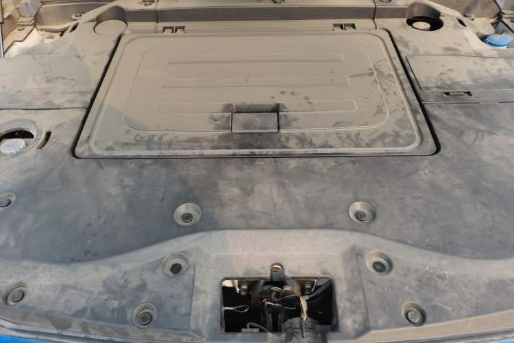 Used Great Wall Poer New Energy 2021 Commercial Edition Leading-Edge Big Double Engine Bay