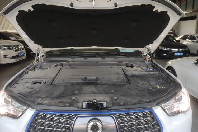 Used Great Wall Poer New Energy 2021 Commercial Edition Leading-Edge Big Double Engine Bay