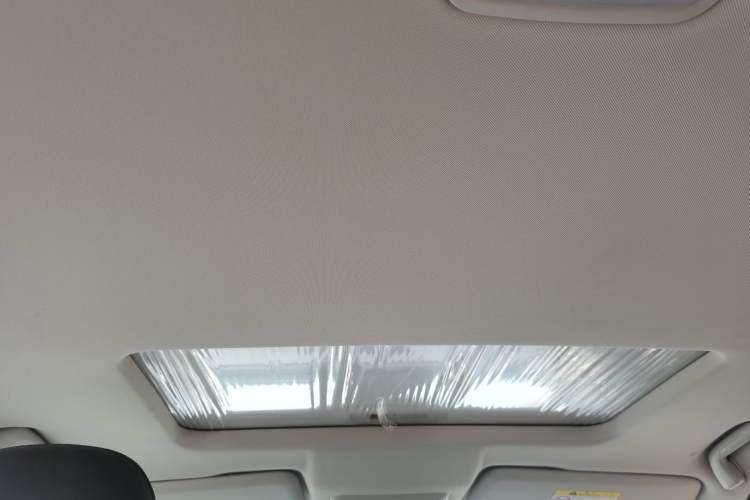 Used Great Wall Poer New Energy 2021 Commercial Edition Leading-Edge Big Double Headliner