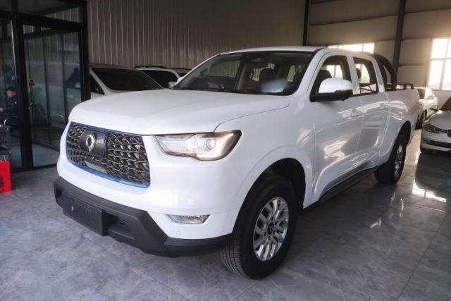 Used Great Wall Poer New Energy 2021 Commercial Edition Leading-Edge Big Double