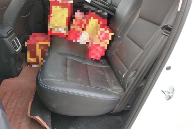 Used Great Wall Poer New Energy 2021 Commercial Edition Leading-Edge Big Double Left Rear Seat
