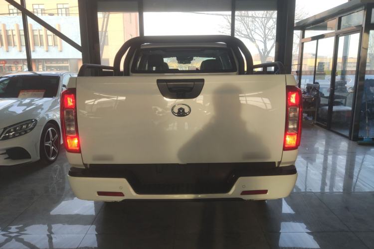 Used Great Wall Poer New Energy 2021 Commercial Edition Leading-Edge Big Double Rear
