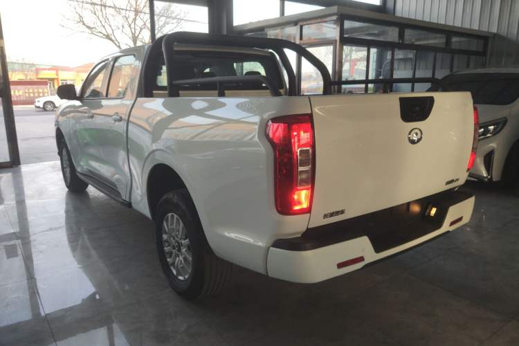 Used Great Wall Poer New Energy 2021 Commercial Edition Leading-Edge Big Double Rear Left 45 Deg