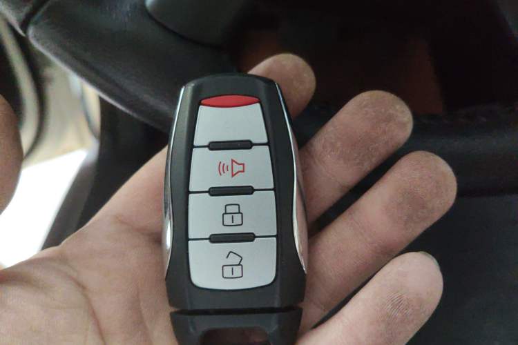 Used Great Wall Poer New Energy 2021 Commercial Edition Leading-Edge Big Double Vehicle Key