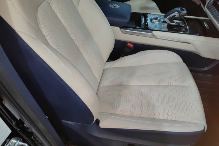 Used Great Wall Shanhai Poer 2023 3.0T V6 Gasoline Extreme Edition Right Front Seat