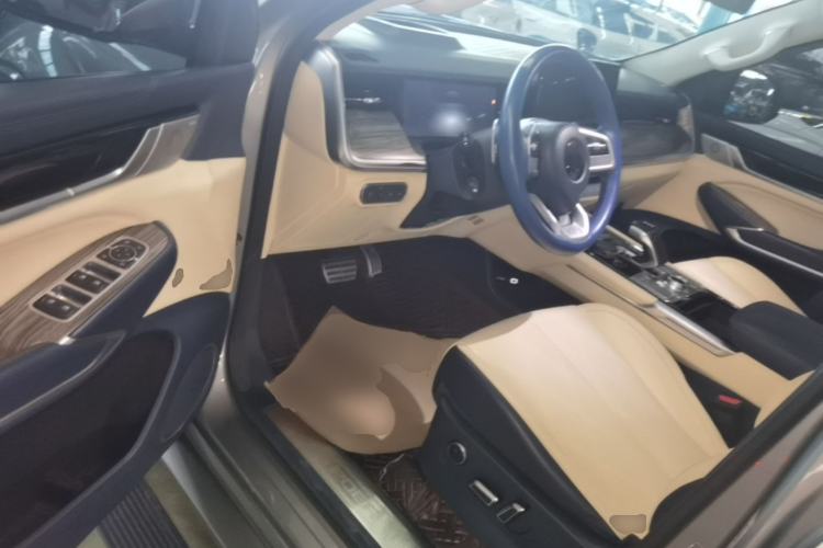 Used Great Wall Shanhai Poer 2023 2.4T Diesel Luxury Edition Driver Seat