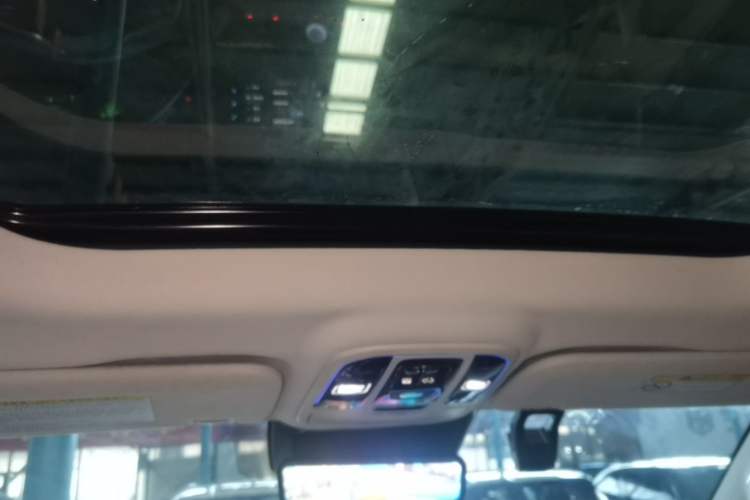 Used Great Wall Shanhai Poer 2023 2.4T Diesel Luxury Edition Headliner