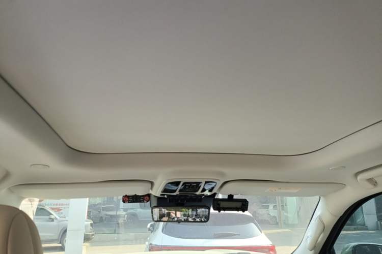 Used Great Wall Shanhai Poer 2023 3.0T V6 Gasoline Extreme Trail Edition Headliner