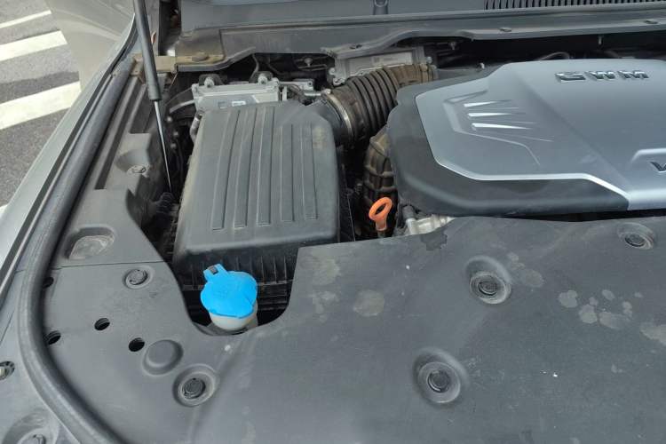 Used Great Wall Shanhai Poer 2023 3.0T V6 Gasoline Extreme Edition Engine Bay Right