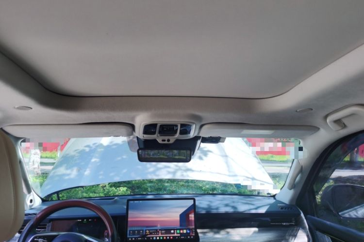 Used Great Wall Shanhai Poer 2023 3.0T V6 Gasoline Extreme Edition Headliner