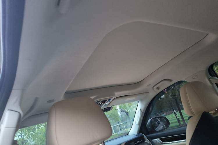 Used Great Wall Shanhai Poer 2023 3.0T V6 Gasoline Extreme Edition Headliner