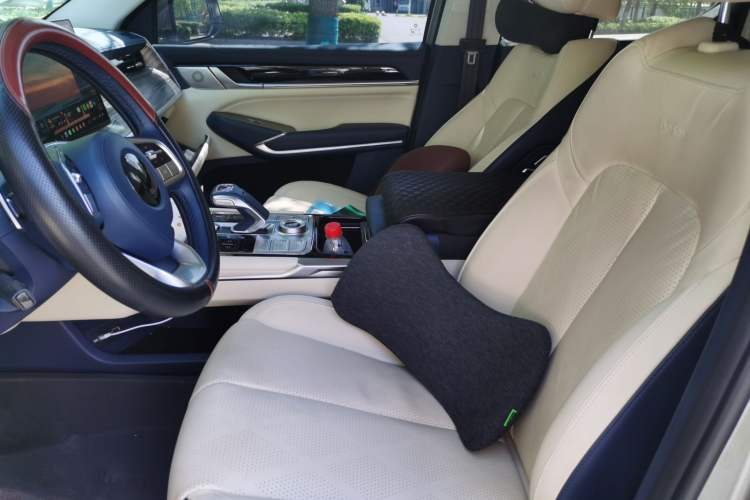Used Great Wall Shanhai Poer 2023 3.0T V6 Gasoline Extreme Edition Left Front Seat