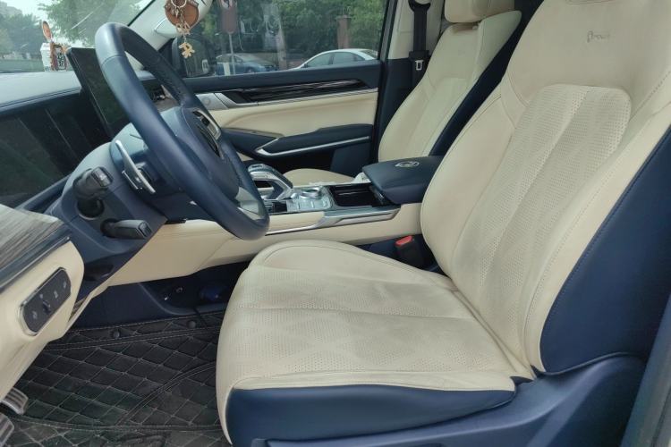 Used Great Wall Shanhai Poer 2023 3.0T V6 Gasoline Extreme Edition Left Front Seat
