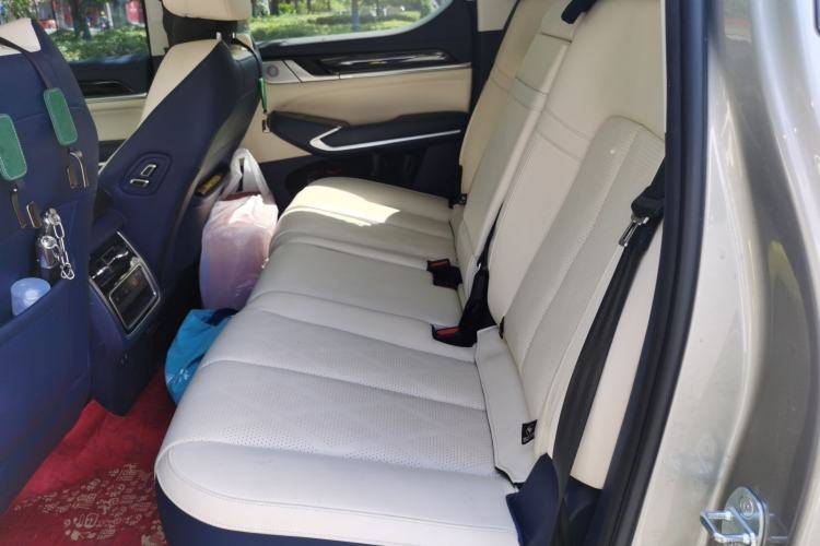 Used Great Wall Shanhai Poer 2023 3.0T V6 Gasoline Extreme Edition Left Rear Seat