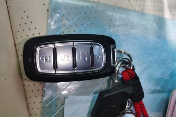Used Great Wall Shanhai Poer 2023 3.0T V6 Gasoline Extreme Edition Vehicle Key