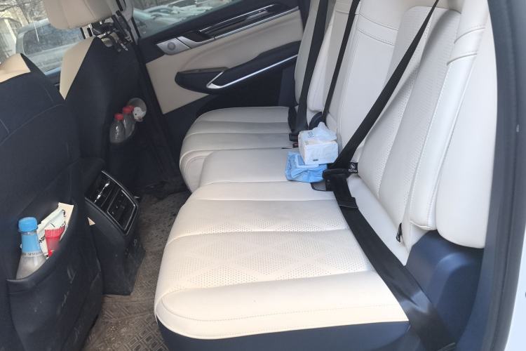 Used Great Wall Shanhai Poer 2023 3.0T V6 Gasoline Luxury Towing Edition Left Rear Seat