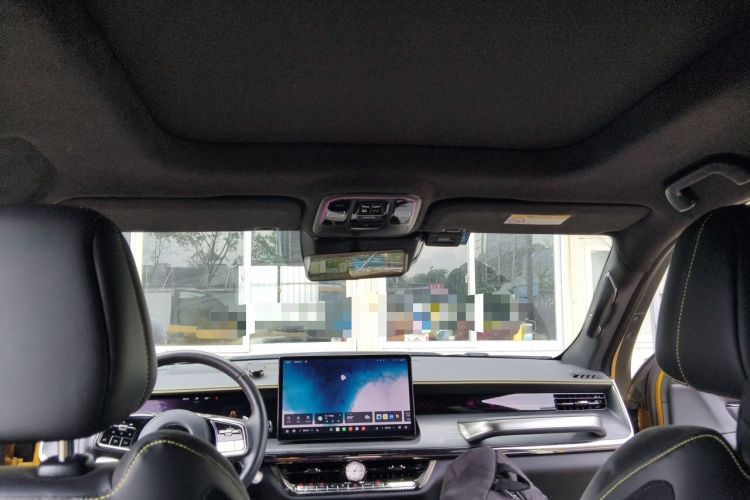 Used Great Wall Shanhai Poer 2023 3.0T V6 Gasoline Performance Edition Headliner