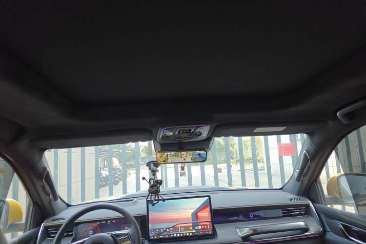 Used Great Wall Shanhai Poer 2023 3.0T V6 Gasoline Performance Edition Headliner