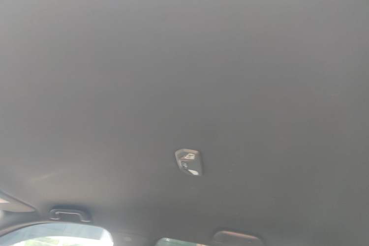 Used Great Wall Shanhai Poer Hi4-T 2025 Hi4-T Performance Edition Headliner