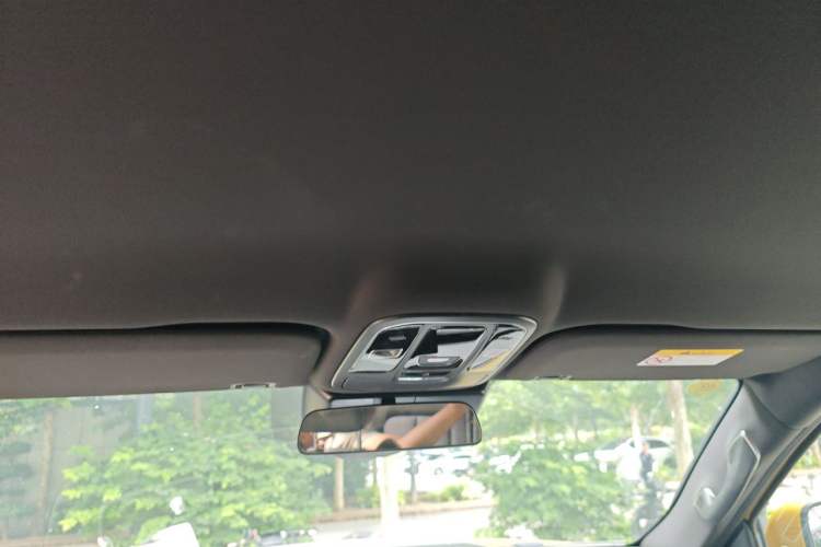 Used Great Wall Shanhai Poer Hi4-T 2025 Hi4-T Performance Edition Headliner