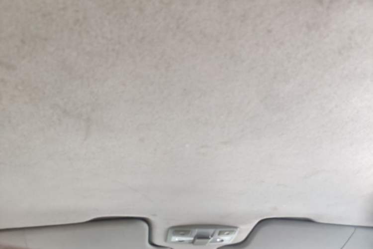 Used Great Wall Wingle 5  Headliner