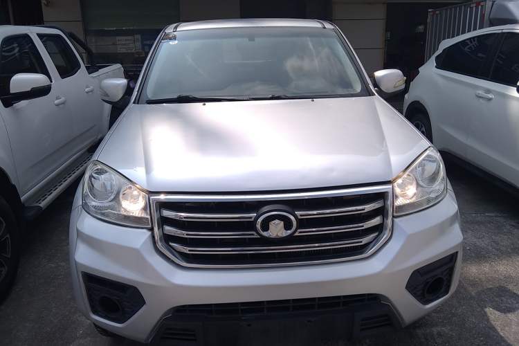 Used Great Wall Wingle 5 2017 2.0T European Version Diesel Two-Wheel Drive Advanced Large Double-Cab GW4D20E Exterior 1