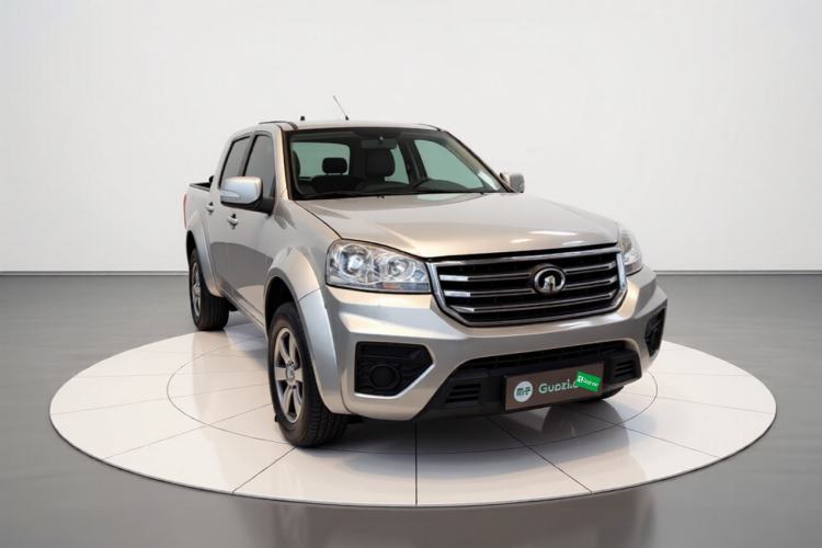 Used Great Wall Wingle 5 2017 2.0T European Version Diesel Two-Wheel Drive Advanced Large Double-Cab GW4D20E Exterior 2