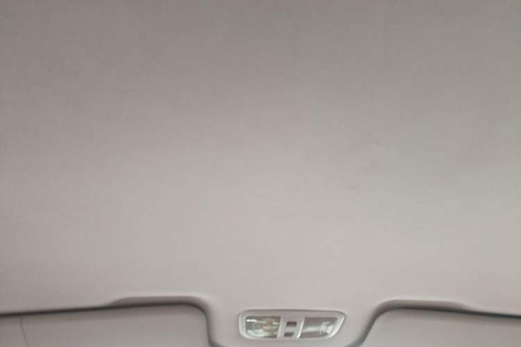 Used Great Wall Wingle 5 2017 2.8T Classic Edition Two-Wheel Drive Big Double-Cab GW2.8TC-2 Headliner