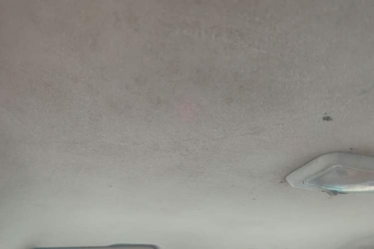 Used Great Wall Wingle 5 2017 2.2L Classic Version Two-Wheel Drive Big Double Cab 491QE Headliner
