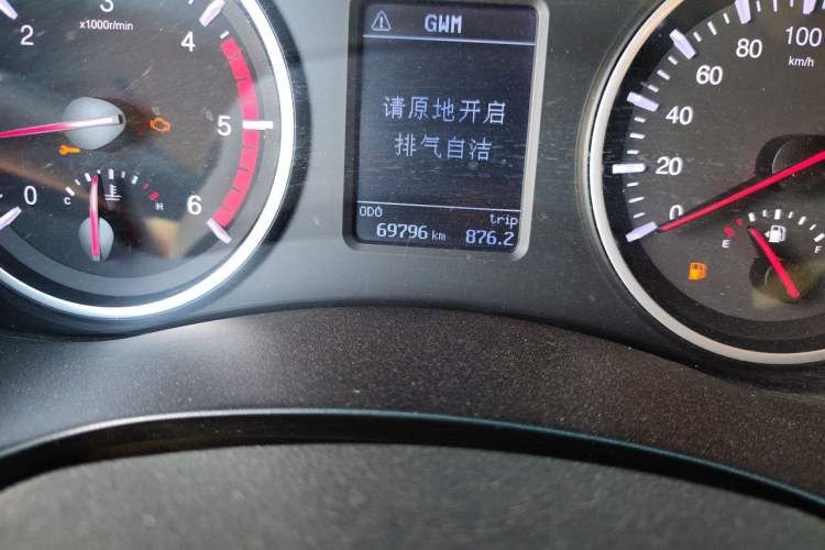 Used Great Wall Wingle 5 2020 2.0T Diesel Two-Wheel-Drive Elite Version Big Double Cab China VI Standard GW4D20M Odometer Close Up