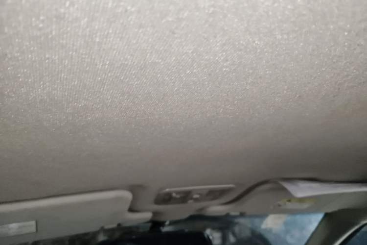 Used Great Wall Wingle 5 2020 2.0T Diesel Two-Wheel-Drive Elite Version Big Double Cab China VI Standard GW4D20M Headliner