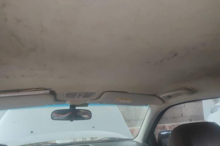 Used Great Wall Wingle 5 2020 2.0T Diesel Two-Wheel-Drive Elite Version Big Double Cab China VI Standard GW4D20M Headliner
