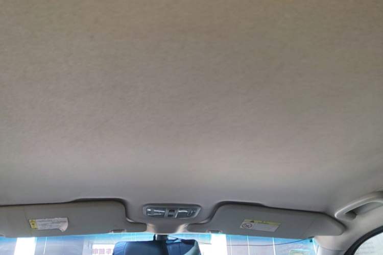 Used Great Wall Wingle 5 2020 2.0T Diesel Two-Wheel-Drive Elite Version Big Double Cab China VI Standard GW4D20M Headliner