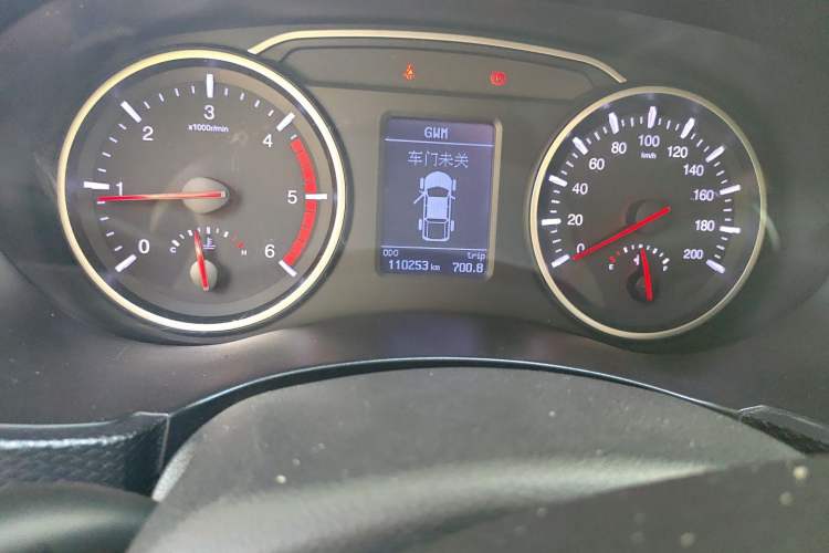 Used Great Wall Wingle 5 2020 2.0T Diesel 4x4 Elite Version Big Double Cab China VI Emission Standard GW4D20M Odometer Close Up
