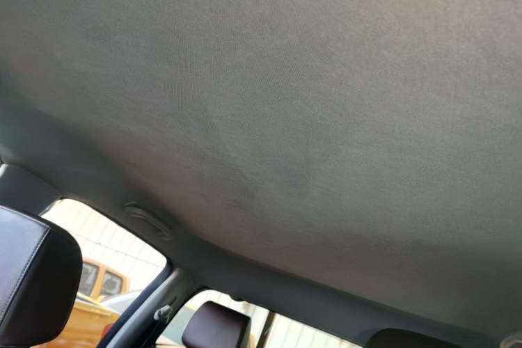 Used Great Wall Wingle 5 2020 2.4L Gasoline Two-Wheel Drive Value Edition Big Double Cab China VI Standard 4K22D4M Headliner