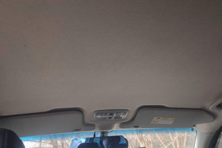 Used Great Wall Wingle 5 2021 2.0T Diesel Two-Wheel Drive Elite Version Big Double Cab China VI Standard GW4D20M Headliner