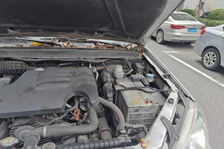 Used Great Wall Wingle 5 2021 2.0T Diesel Two-Wheel Drive Elite Version Big Double Cab China VI Standard GW4D20M Engine Bay Left