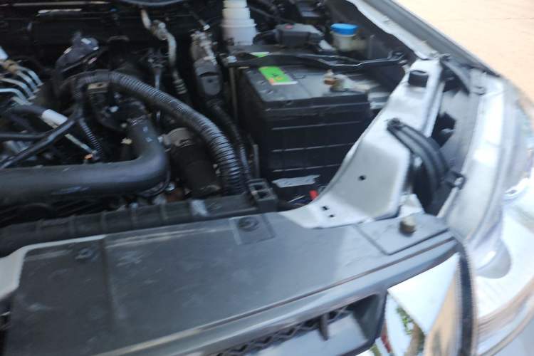 Used Great Wall Wingle 5 2021 2.0T Diesel Two-Wheel Drive Ultra-Value Big Double-Cab China VI GW4D20M Engine Bay Left