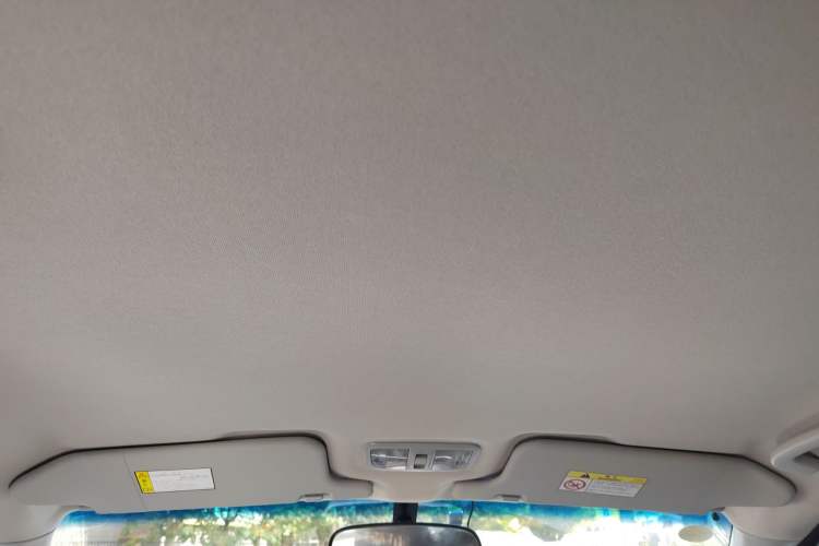 Used Great Wall Wingle 5 2021 2.0T Diesel Two-Wheel Drive Elite Version Big Double Cab China VI Standard GW4D20M Headliner