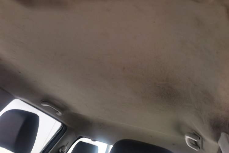 Used Great Wall Wingle 5 2021 2.0T Diesel Two-Wheel Drive Elite Version Big Double Cab China VI Standard GW4D20M Headliner