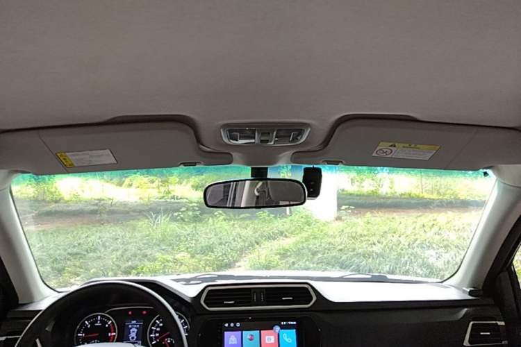 Used Great Wall Wingle 5 2021 2.0T Diesel Two-Wheel Drive Elite Version with Long Cargo Bed China VI Emission Standard GW4D20M Headliner